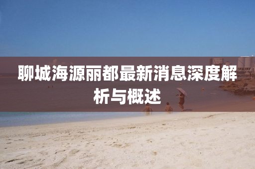 聊城海源麗都最新消息深度解析與概述