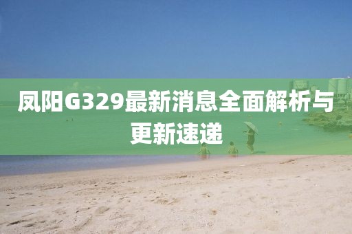 鳳陽G329最新消息全面解析與更新速遞