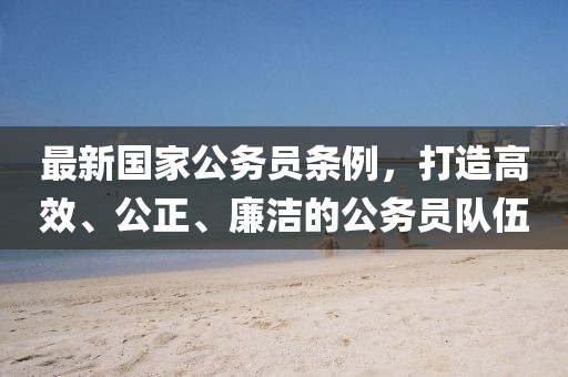 最新國家公務(wù)員條例，打造高效、公正、廉潔的公務(wù)員隊(duì)伍