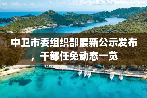 中衛(wèi)市委組織部最新公示發(fā)布，干部任免動(dòng)態(tài)一覽