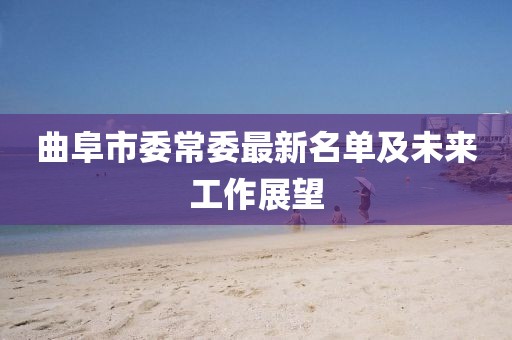 曲阜市委常委最新名單及未來(lái)工作展望