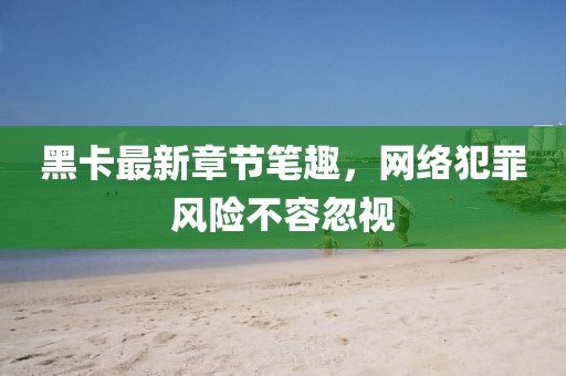 黑卡最新章節(jié)筆趣，網(wǎng)絡犯罪風險不容忽視