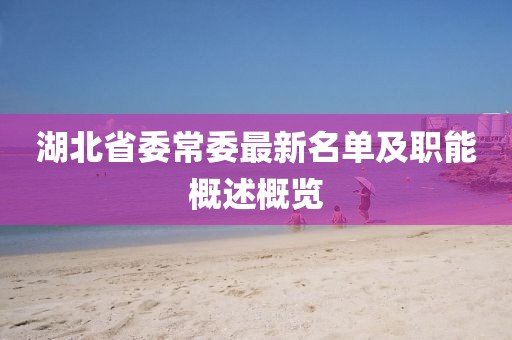 湖北省委常委最新名單及職能概述概覽