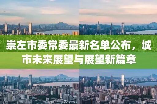 崇左市委常委最新名單公布，城市未來展望與展望新篇章