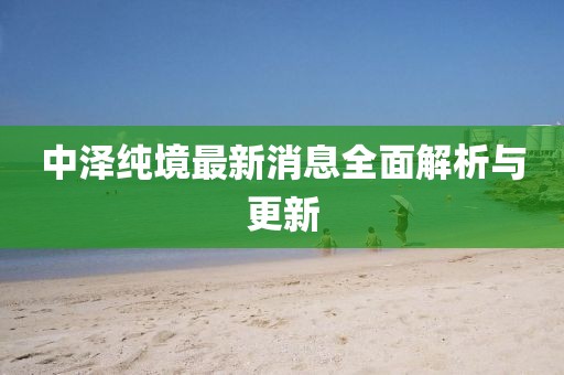 中澤純境最新消息全面解析與更新