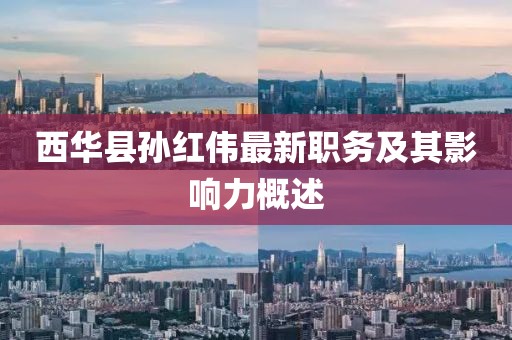 西華縣孫紅偉最新職務及其影響力概述