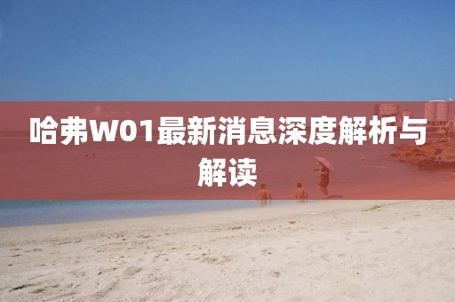 哈弗W01最新消息深度解析與解讀