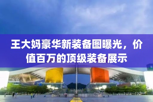 王大媽豪華新裝備圖曝光，價(jià)值百萬(wàn)的頂級(jí)裝備展示