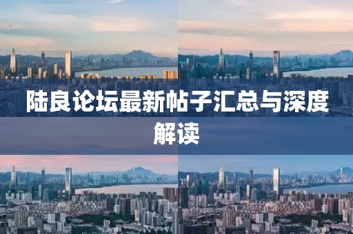 陸良論壇最新帖子匯總與深度解讀