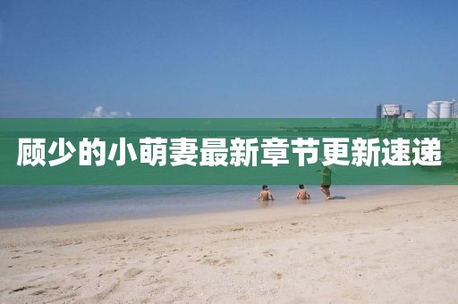 顧少的小萌妻最新章節(jié)更新速遞