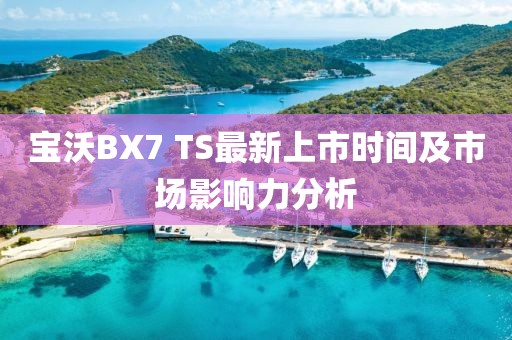 寶沃BX7 TS最新上市時間及市場影響力分析