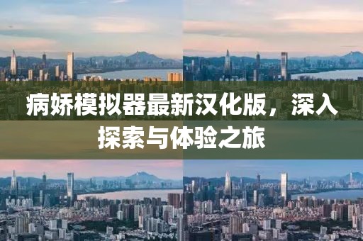 病嬌模擬器最新漢化版，深入探索與體驗(yàn)之旅