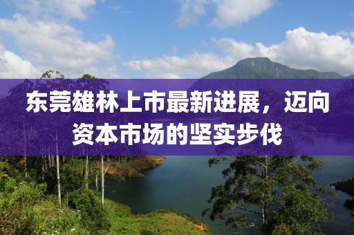 東莞雄林上市最新進(jìn)展，邁向資本市場(chǎng)的堅(jiān)實(shí)步伐