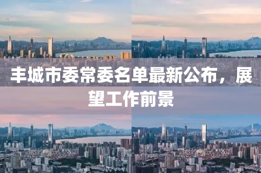 豐城市委常委名單最新公布，展望工作前景