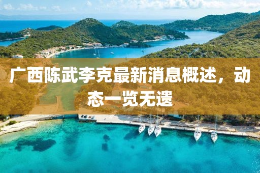 廣西陳武李克最新消息概述，動態(tài)一覽無遺