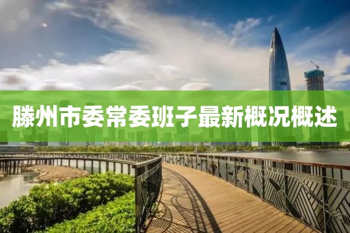 滕州市委常委班子最新概況概述