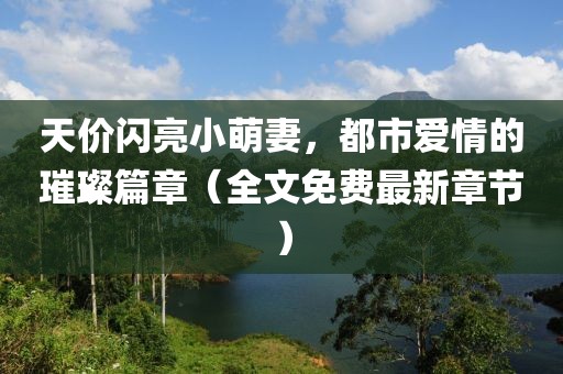 天價(jià)閃亮小萌妻，都市愛(ài)情的璀璨篇章（全文免費(fèi)最新章節(jié)）