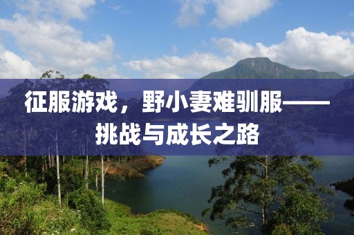 征服游戲，野小妻難馴服——挑戰(zhàn)與成長之路