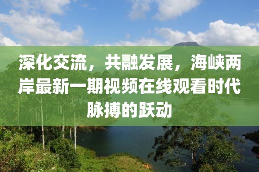 深化交流，共融發(fā)展，海峽兩岸最新一期視頻在線觀看時代脈搏的躍動