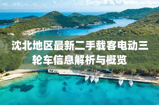 沈北地區(qū)最新二手載客電動三輪車信息解析與概覽