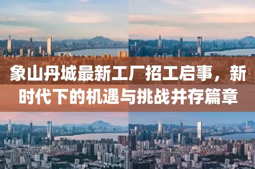 象山丹城最新工廠招工啟事，新時(shí)代下的機(jī)遇與挑戰(zhàn)并存篇章