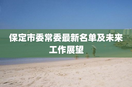 保定市委常委最新名單及未來工作展望