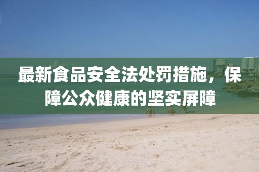 最新食品安全法處罰措施，保障公眾健康的堅實屏障