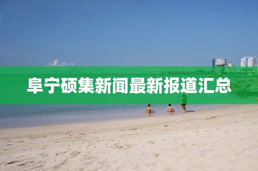 阜寧碩集新聞最新報(bào)道匯總