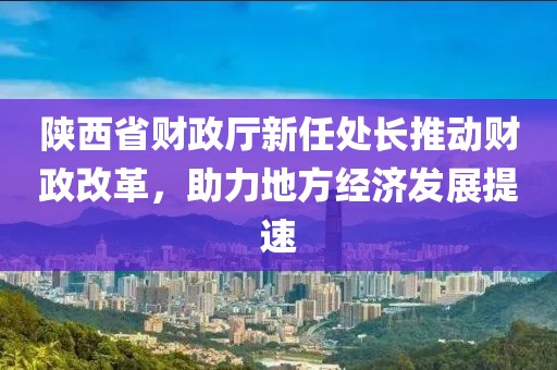 陜西省財政廳新任處長推動財政改革，助力地方經(jīng)濟發(fā)展提速