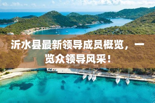 沂水縣最新領(lǐng)導(dǎo)成員概覽，一覽眾領(lǐng)導(dǎo)風(fēng)采！