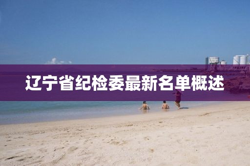 遼寧省紀(jì)檢委最新名單概述