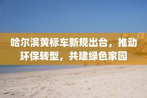 哈爾濱黃標車新規(guī)出臺，推動環(huán)保轉型，共建綠色家園