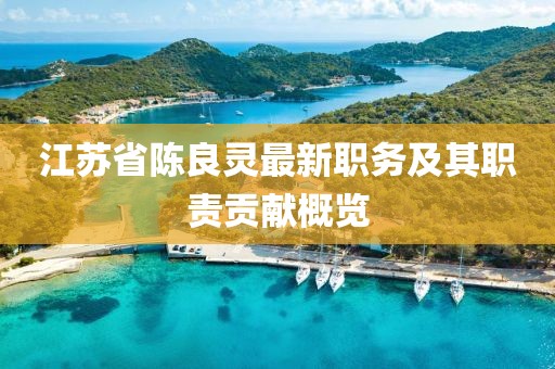 江蘇省陳良靈最新職務及其職責貢獻概覽