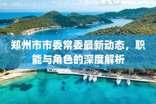 鄭州市市委常委最新動態(tài)，職能與角色的深度解析