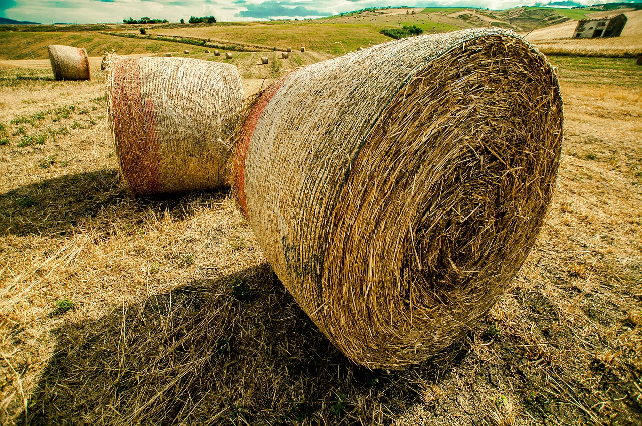 李立囯部長引領(lǐng)變革，最新動態(tài)更新，邁向新的征程