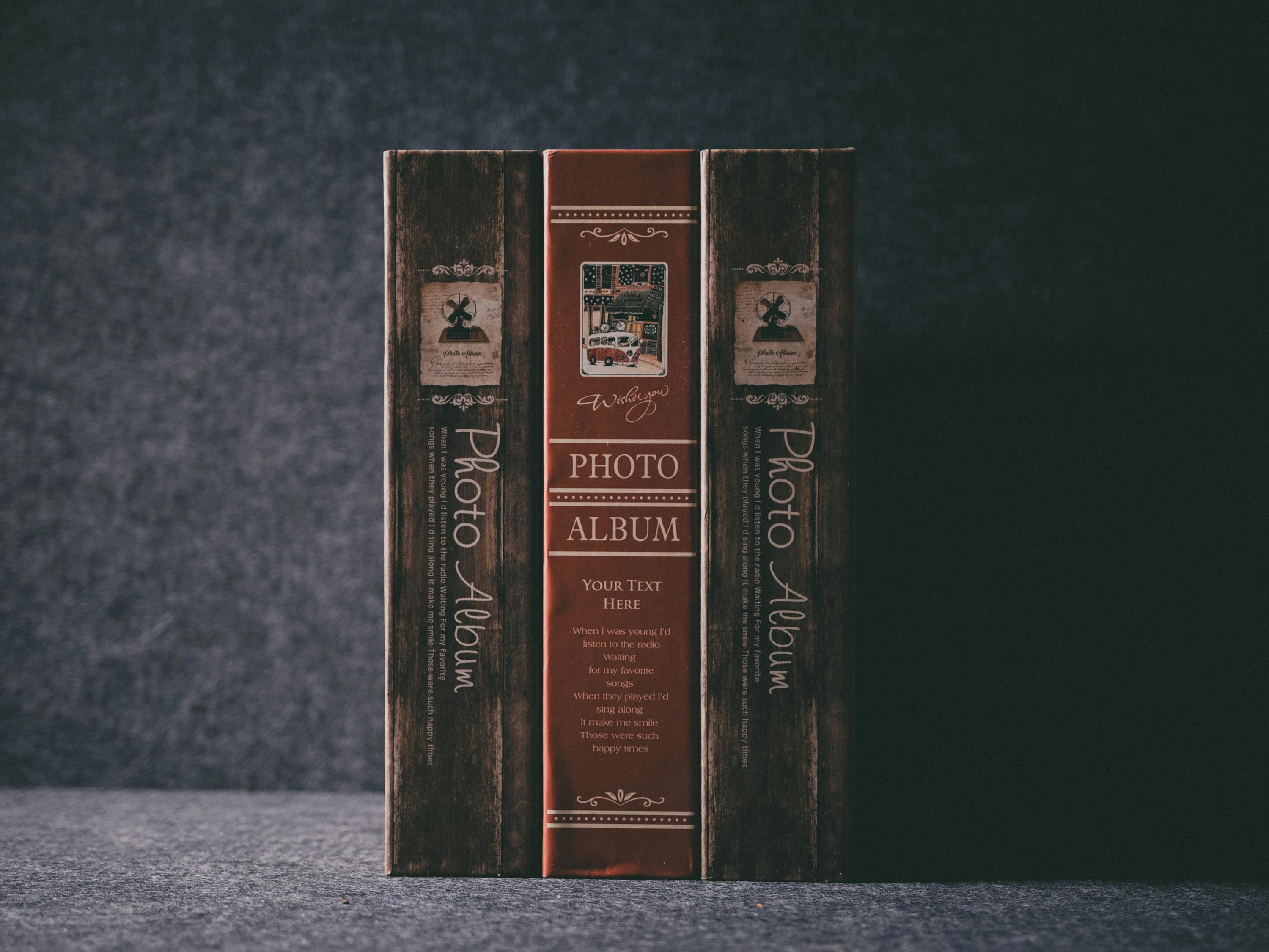 儀隴新聞網最新爆料解析，地區(qū)新動態(tài)與熱點話題深度探討