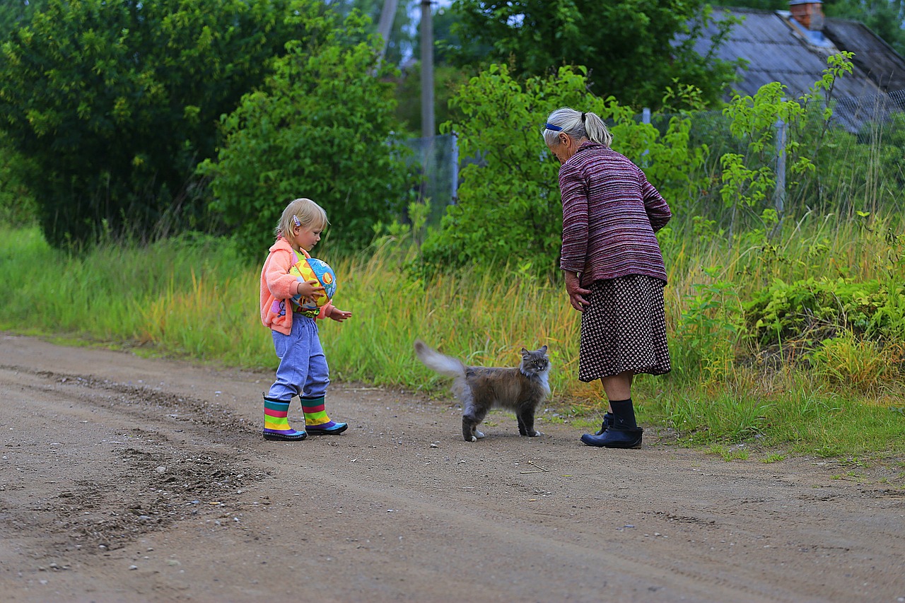 最新農(nóng)村愛情電視劇，鄉(xiāng)村生活的浪漫與真實之旅