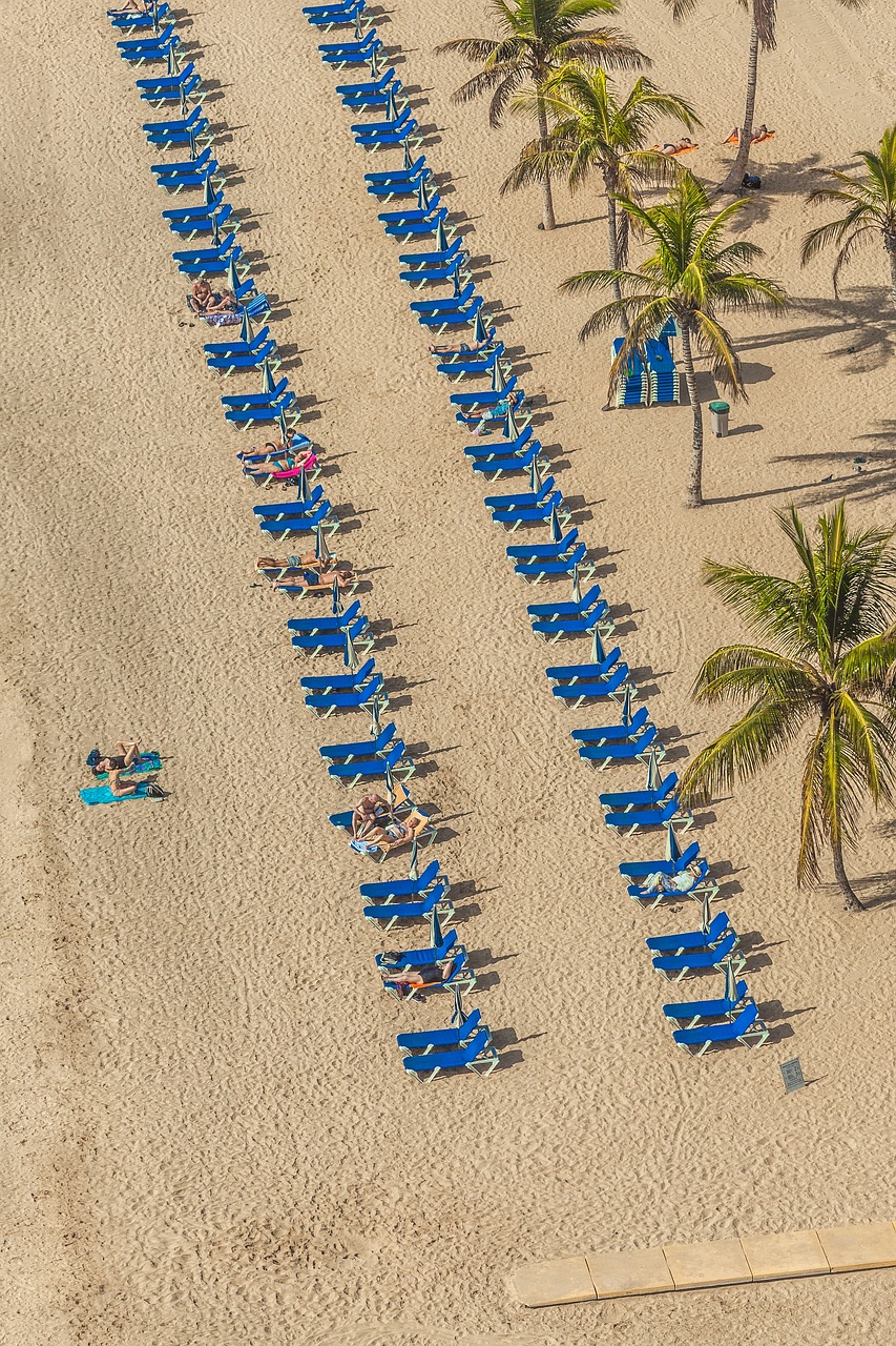 迷你世界最新版，探索與體驗之旅