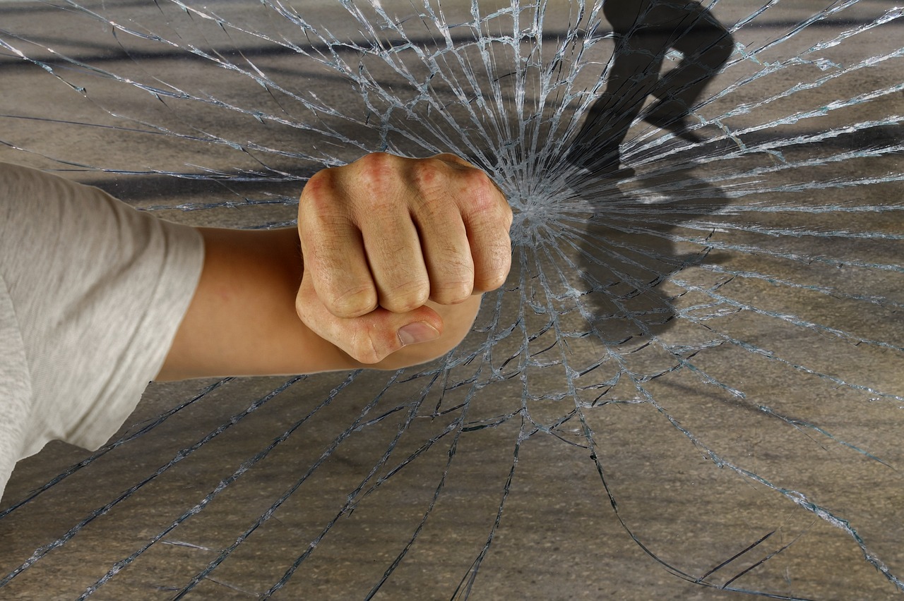 龍的世界最新破解版，警示違法犯罪的虛擬世界風(fēng)險揭秘