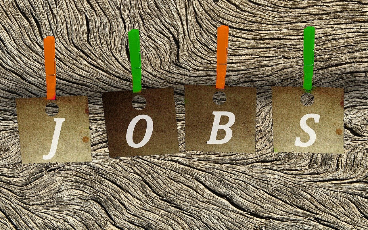 東海開發(fā)區(qū)最新招聘動(dòng)態(tài)，人才吸引力探討與招聘進(jìn)展速遞