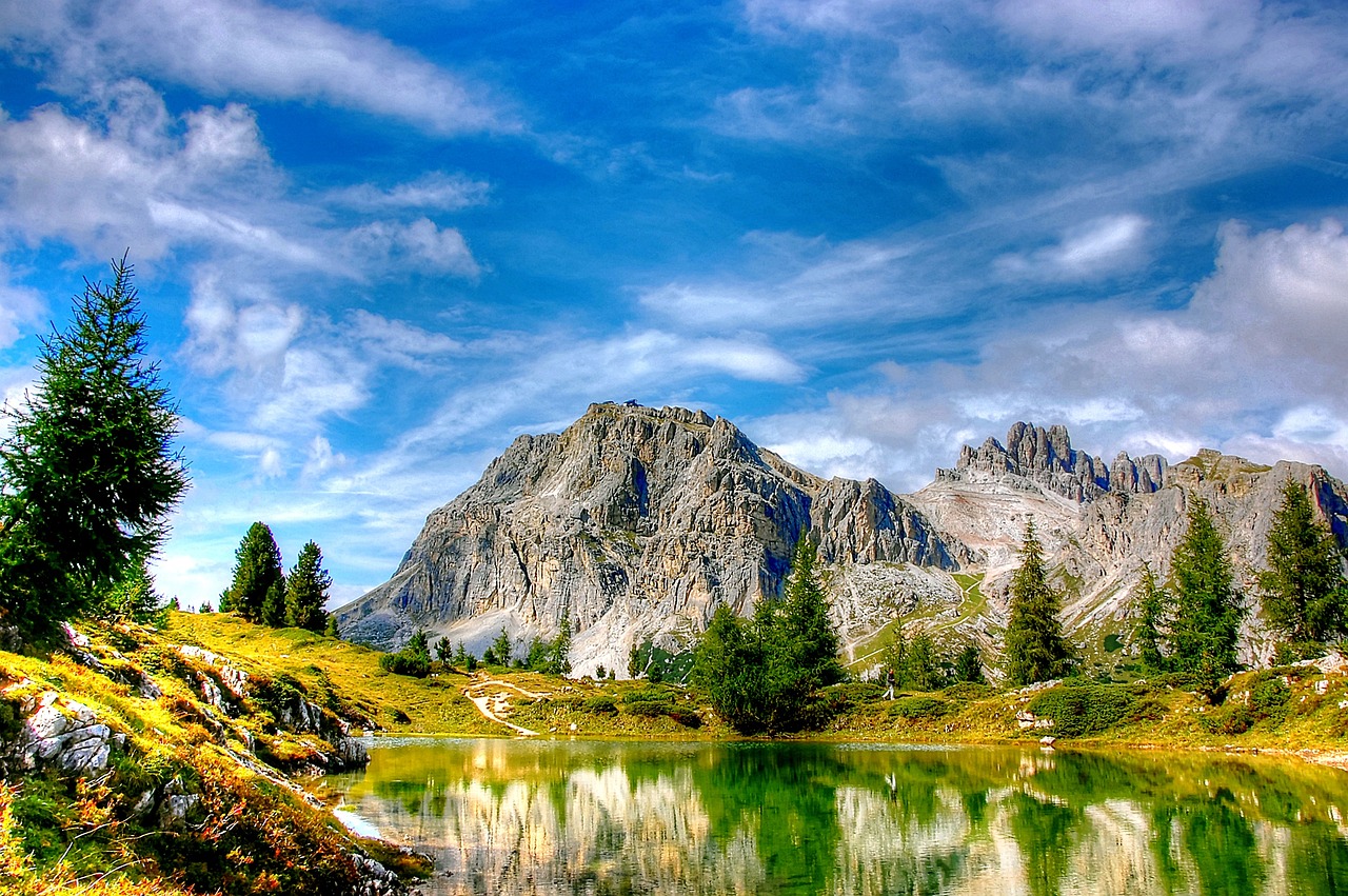 上海重塑城市風貌與居住環(huán)境，商住整頓最新動態(tài)積極行動報道