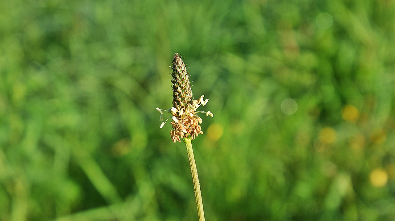 泰安南湖麗景最新動(dòng)態(tài)揭秘，城市新篇章的璀璨綻放