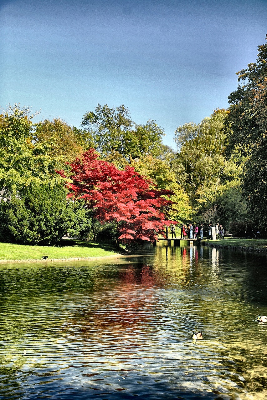 淄博環(huán)保廳推動綠色轉型，共建生態(tài)淄博的最新動態(tài)