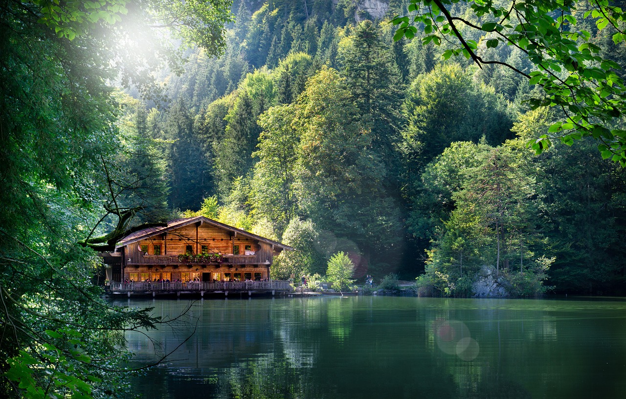 灌云五農(nóng)景苑最新動(dòng)態(tài)揭秘，最新進(jìn)展與資訊更新