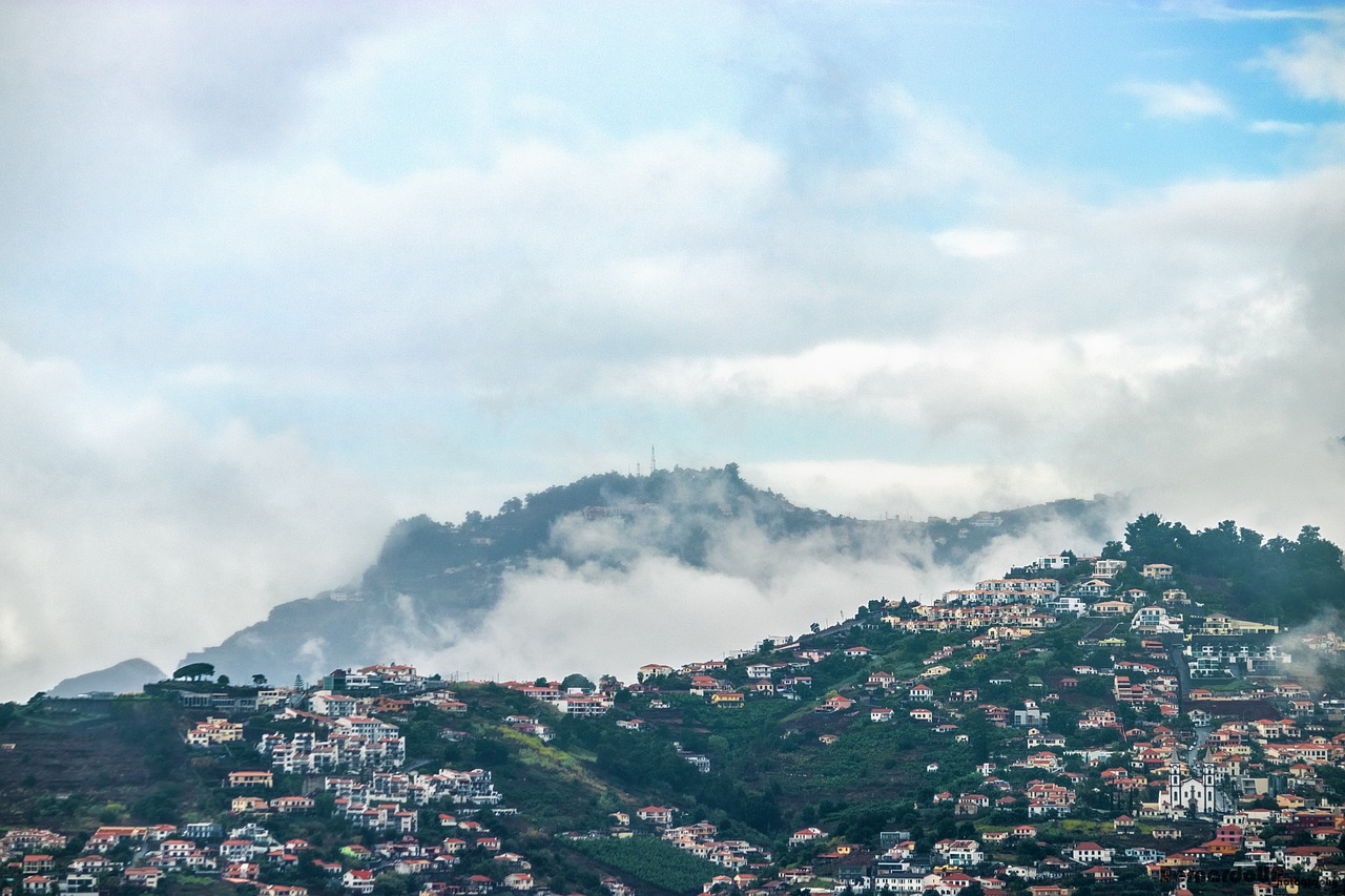 濟南新聞網(wǎng)最新新聞，城市動態(tài)與經(jīng)濟脈搏的交融報道