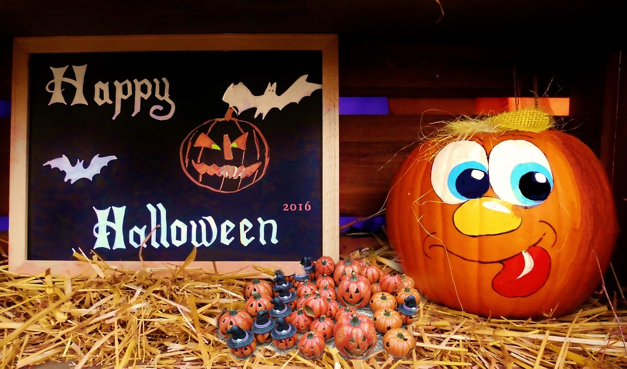 凱里張淼最新動態(tài)揭秘，探尋神秘面紗下的最新消息