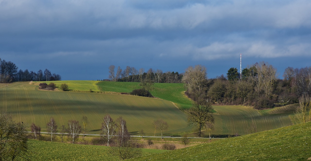 上海土地拍賣最新動(dòng)態(tài)，市場走勢、政策影響與未來展望