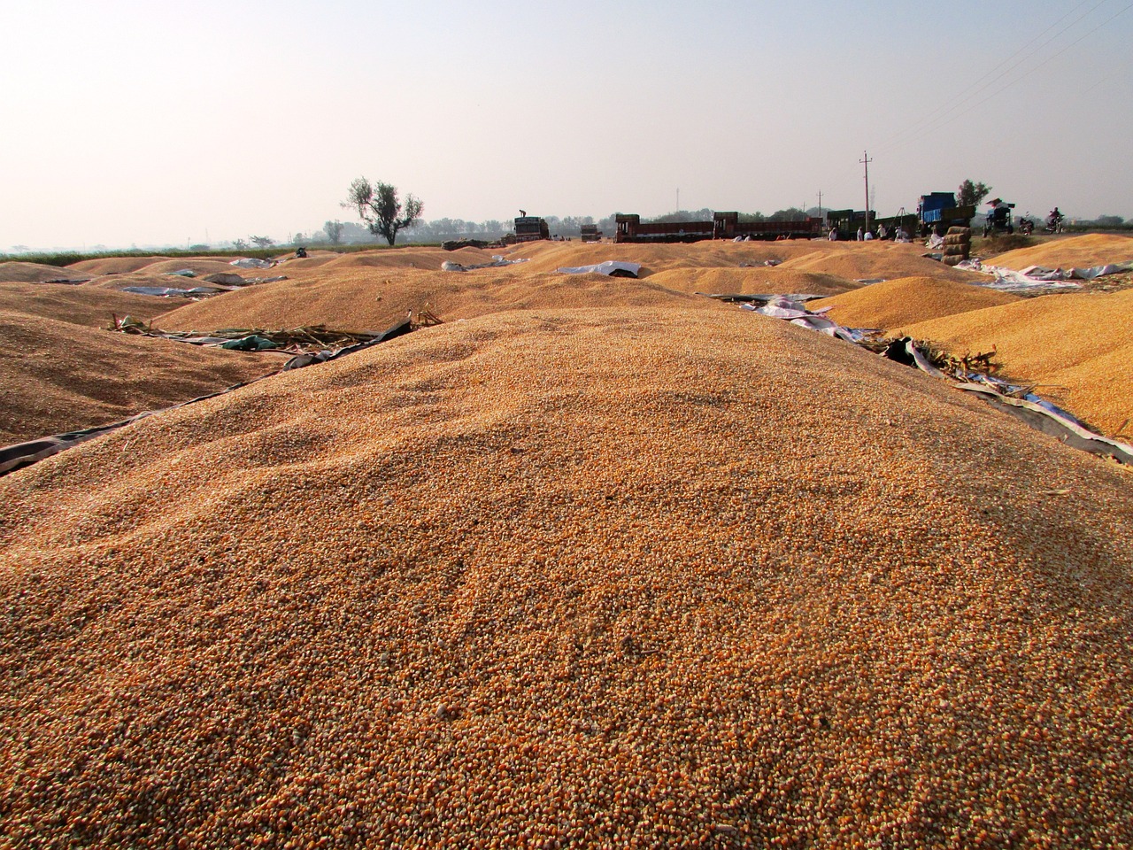 武漢公車(chē)拍賣(mài)最新動(dòng)態(tài)，公開(kāi)透明拍賣(mài)引領(lǐng)市場(chǎng)新風(fēng)向