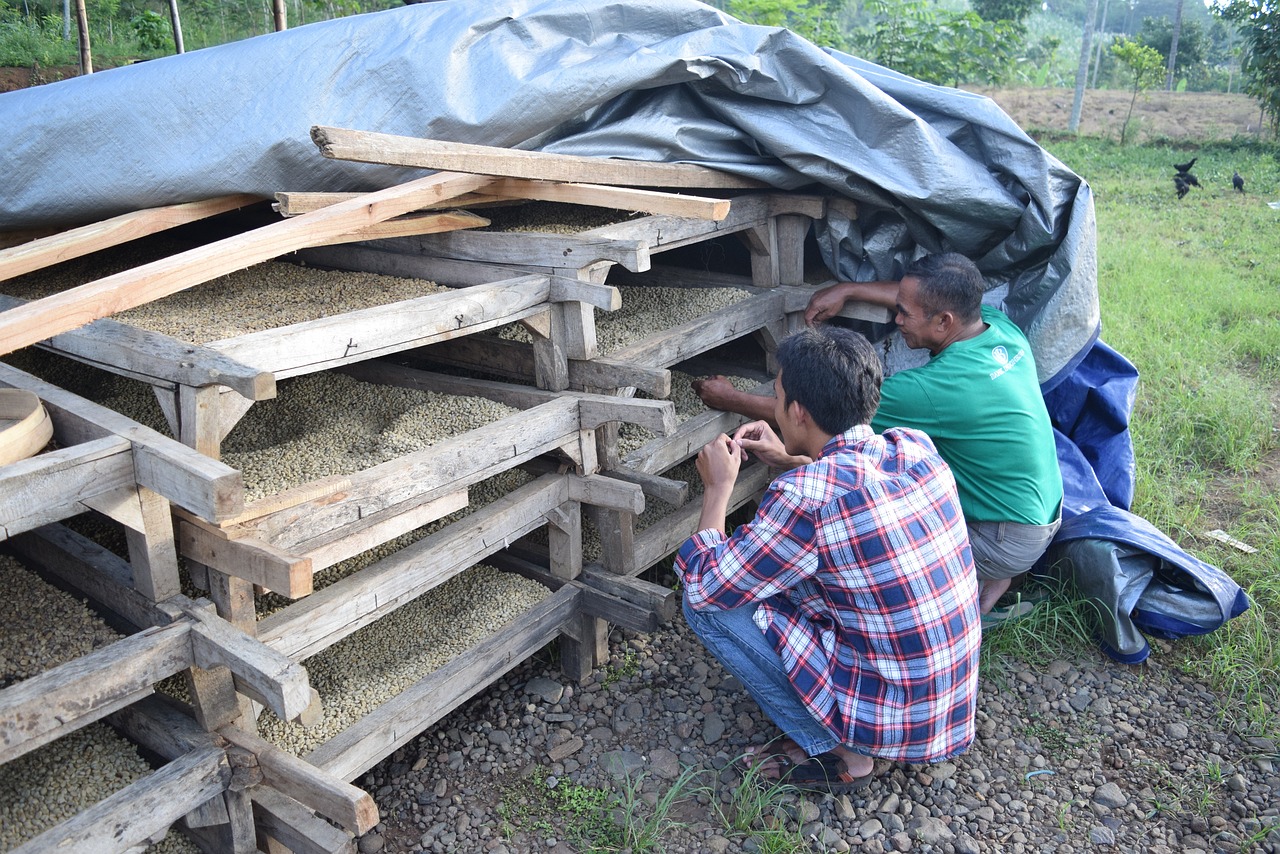 溧水土拍最新動(dòng)態(tài)，市場(chǎng)動(dòng)向及未來發(fā)展展望