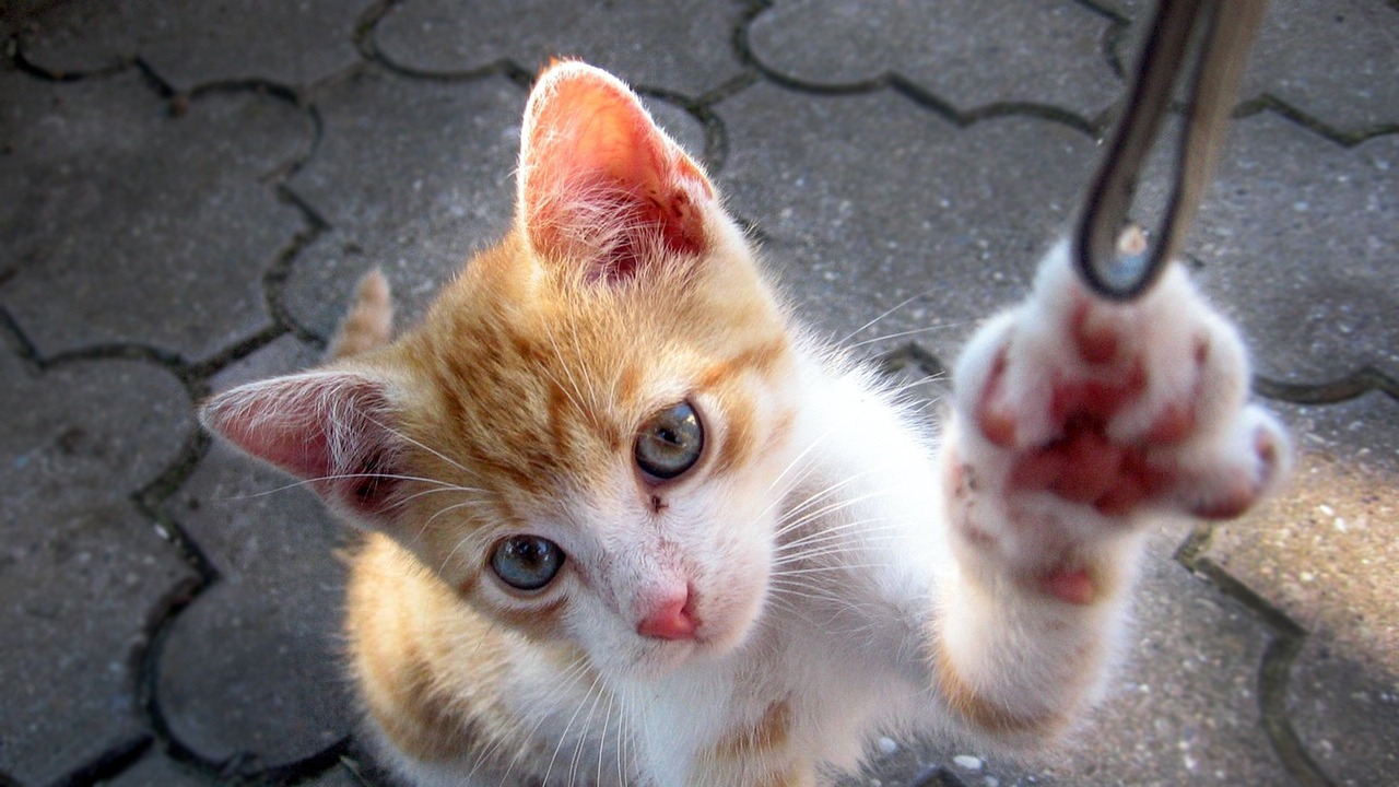 山大搬遷最新動態(tài)，邁向新征程，開啟新篇章